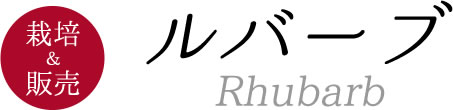 栽培＆販売　ルバーブ